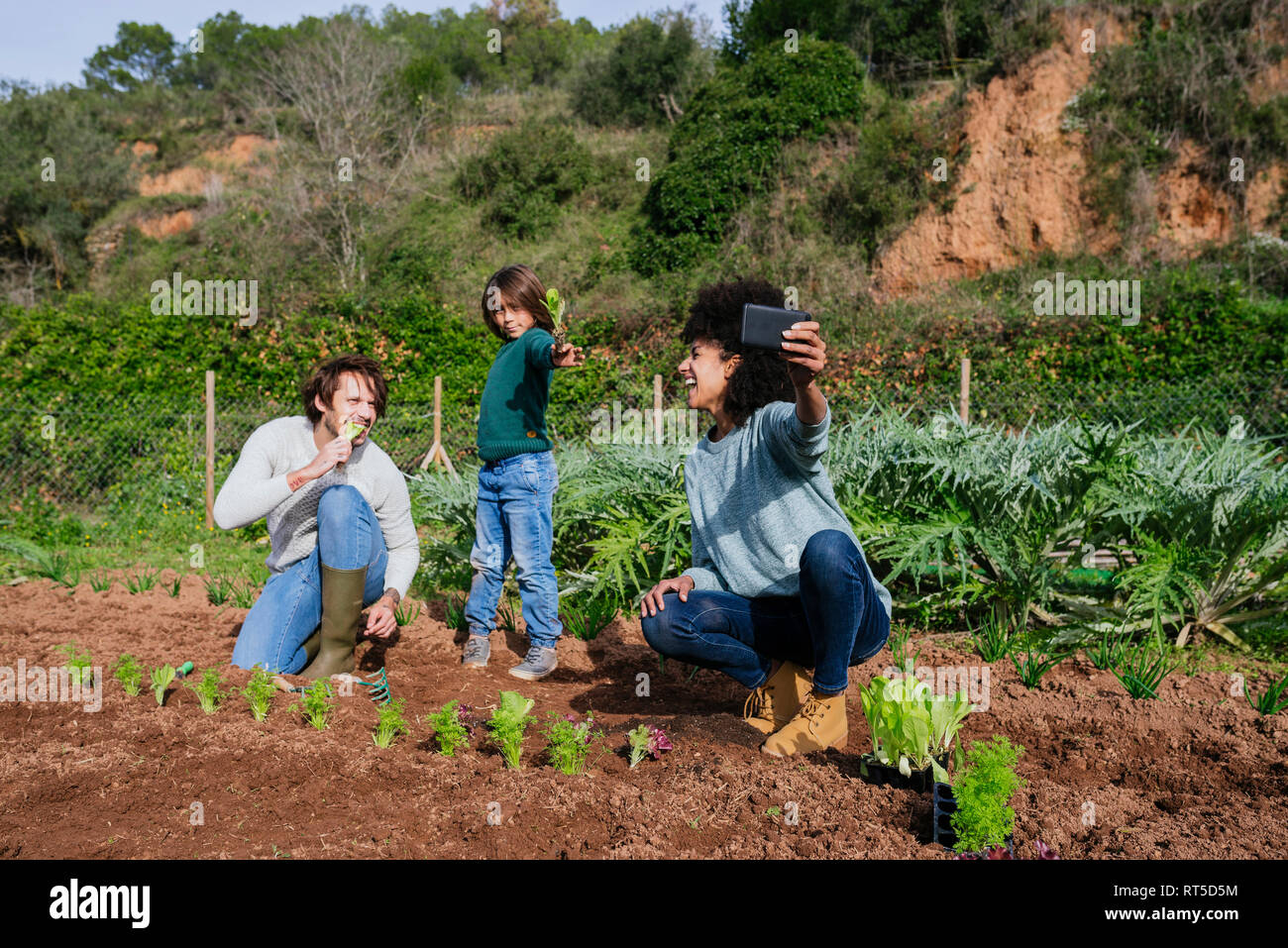 Family taking selfies of planting lettuce seedlings in an vegetable garden Stock Photo