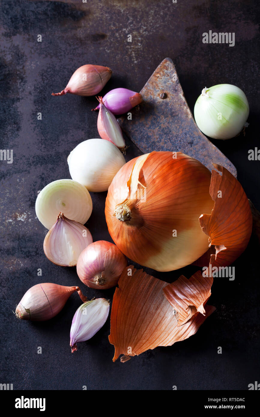 Various sorts of onions on rusty ground Stock Photo