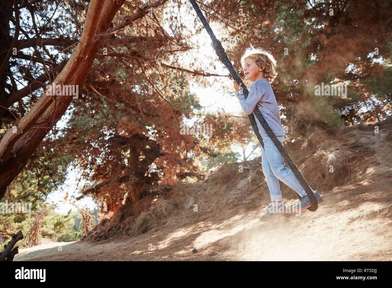 Boy swinging on a rope in backlight Stock Photo