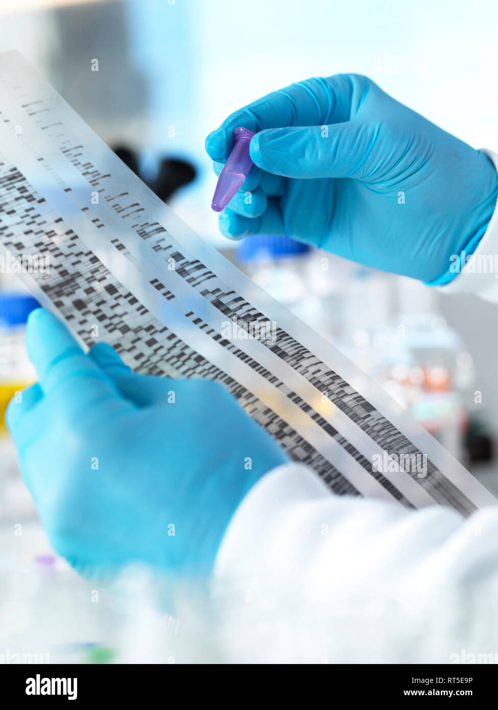 Scientist holding a DNA sample alongside the results on a autoradiogram in a laboratory Stock Photo