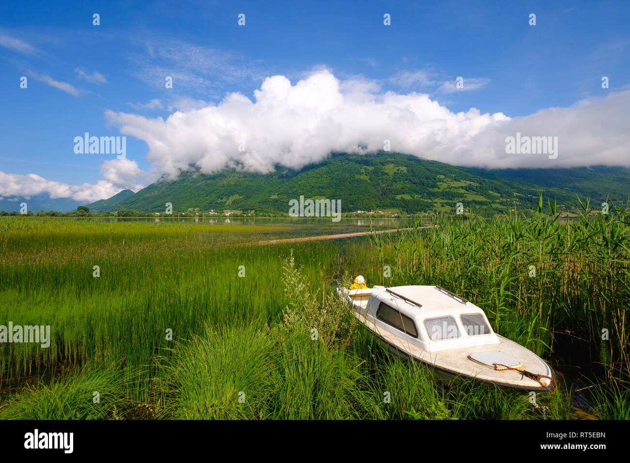 Montenegro, Plav, Plavsko jezero, motorboat at lakeside Stock Photo