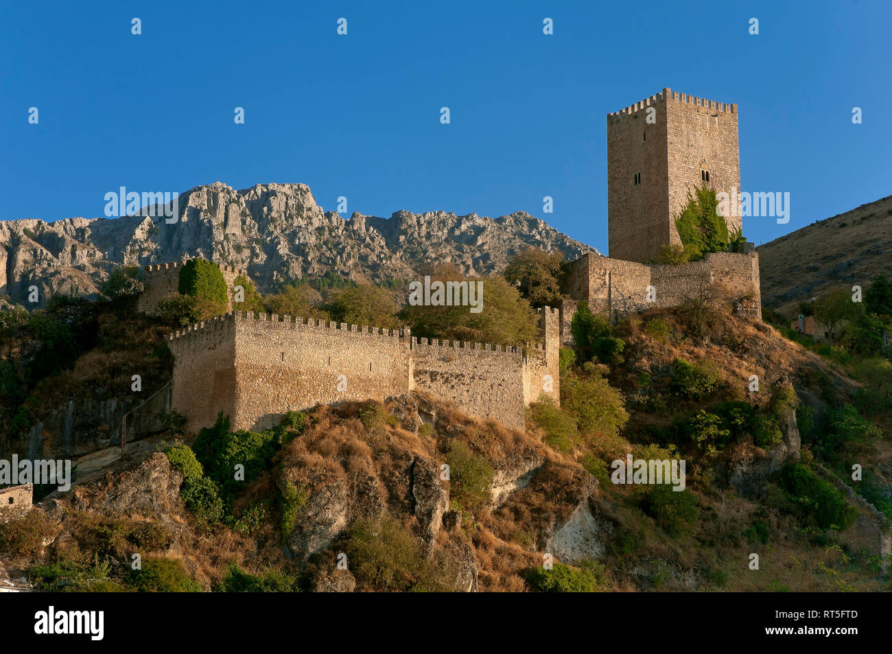 La Yedra Castle. Cazorla. Jaen province. Region of Andalusia. Spain. Europe Stock Photo