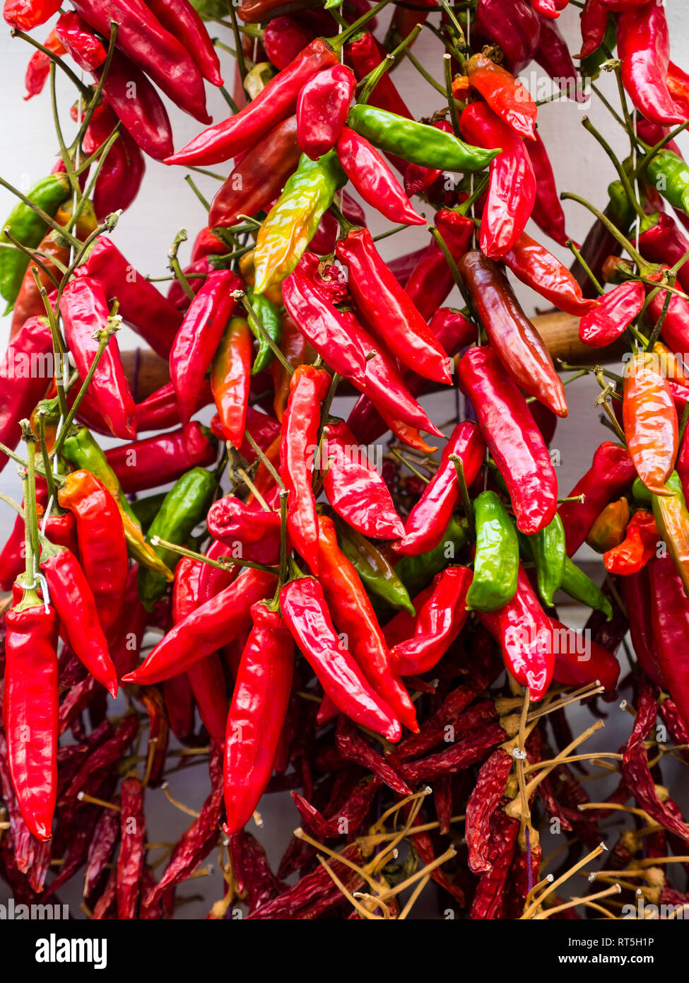 Chili pods growing on house facade Stock Photo
