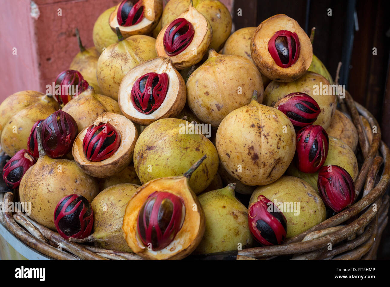Nutmegs for Sale, Town, Penang, Malaysia Stock Photo Alamy