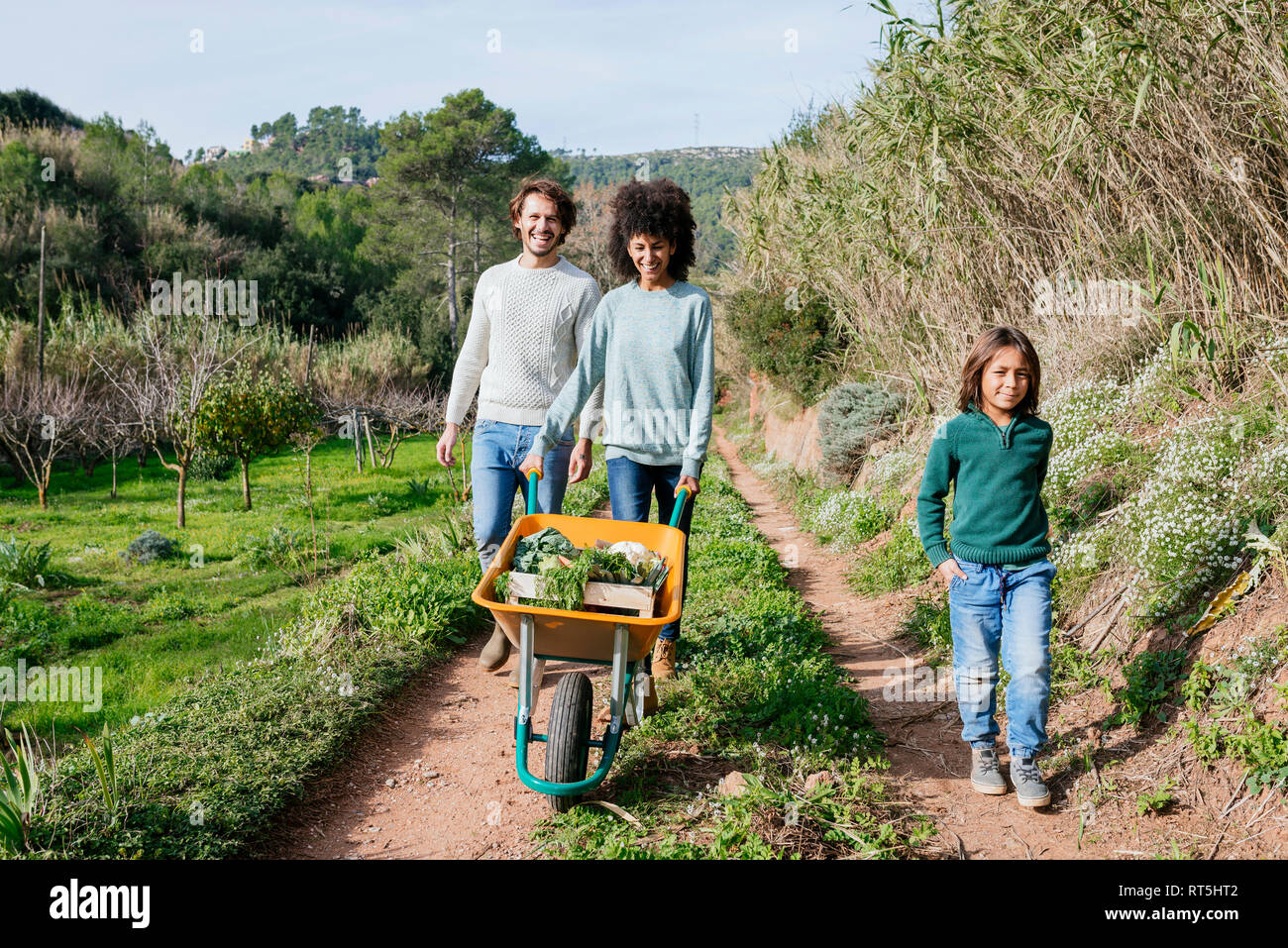 Family walking on a dirt track, pushing wheelbarrow, full of fresh vegetables Stock Photo