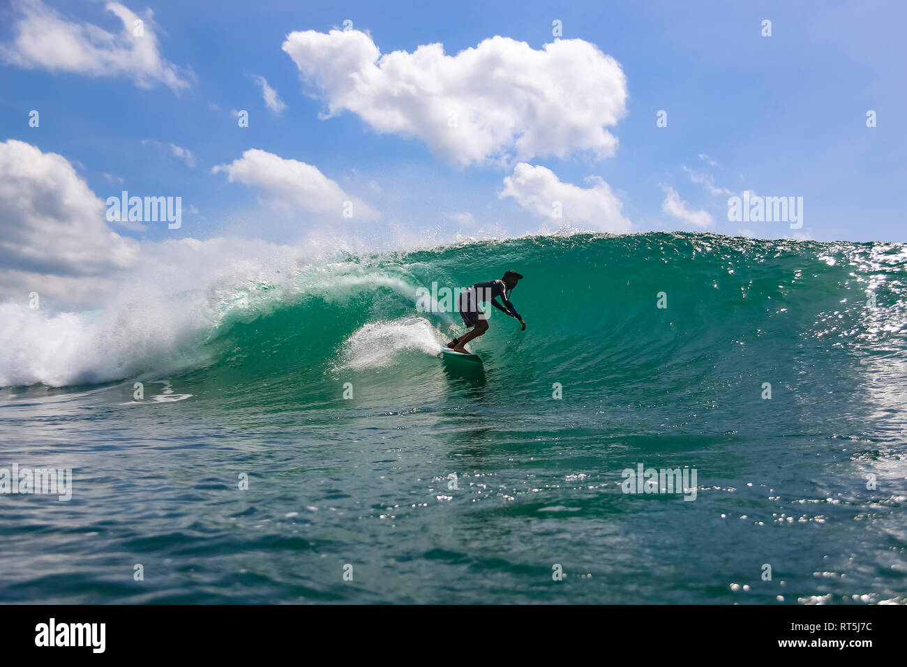 Male surfer riding world hi-res stock photography and images - Alamy