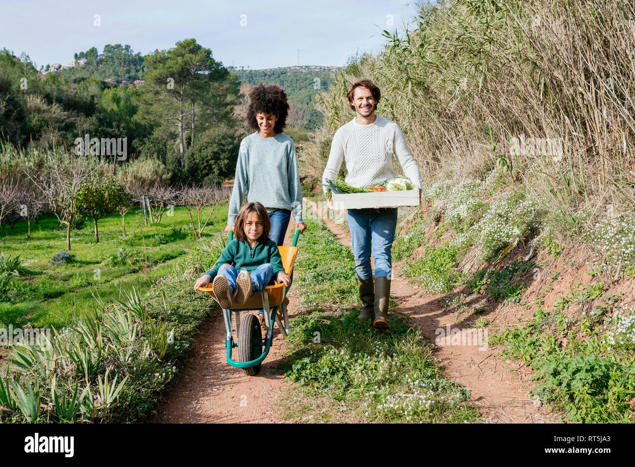Family walking on a dirt track, pushing wheelbarrow, carrying crate with vegetables Stock Photo