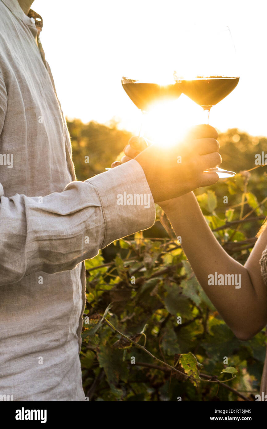Italy, Tuscany, Siena, close-up of couple clinking red wine glasses in a vineyard at sunset Stock Photo