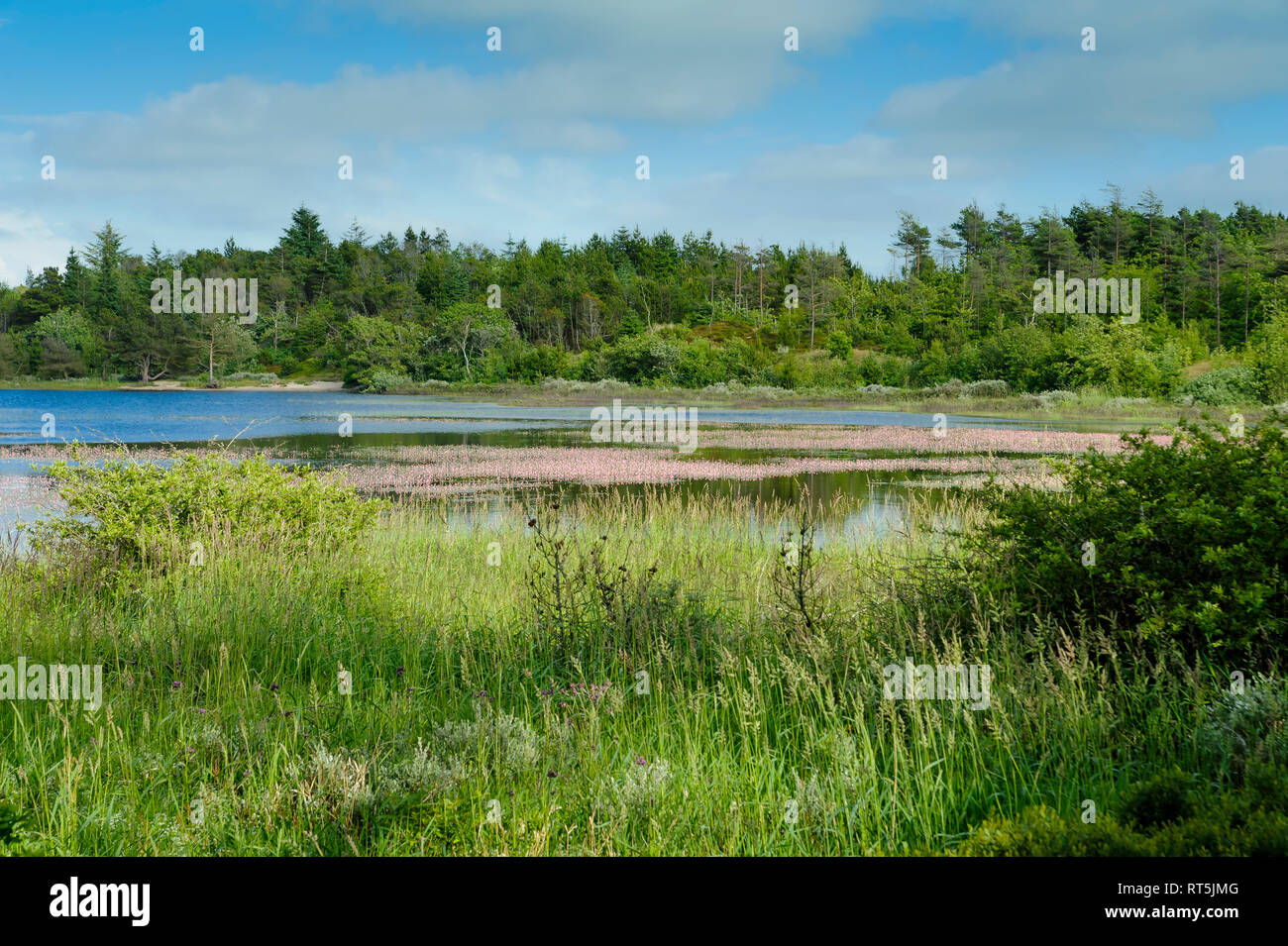 Denmark, Jutland, Thy National Park Stock Photo