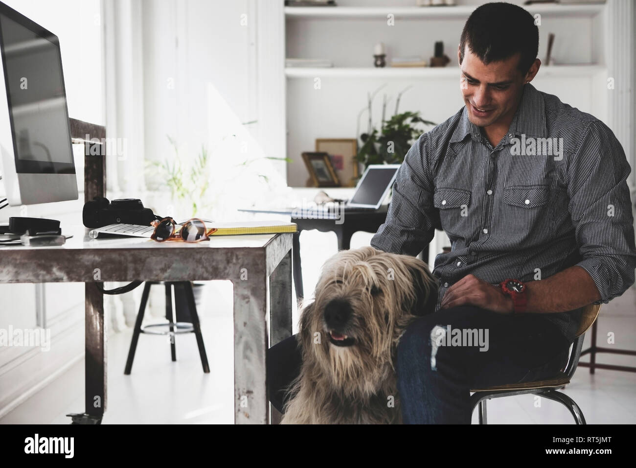 Young man sitting at desk stroking dog Stock Photo