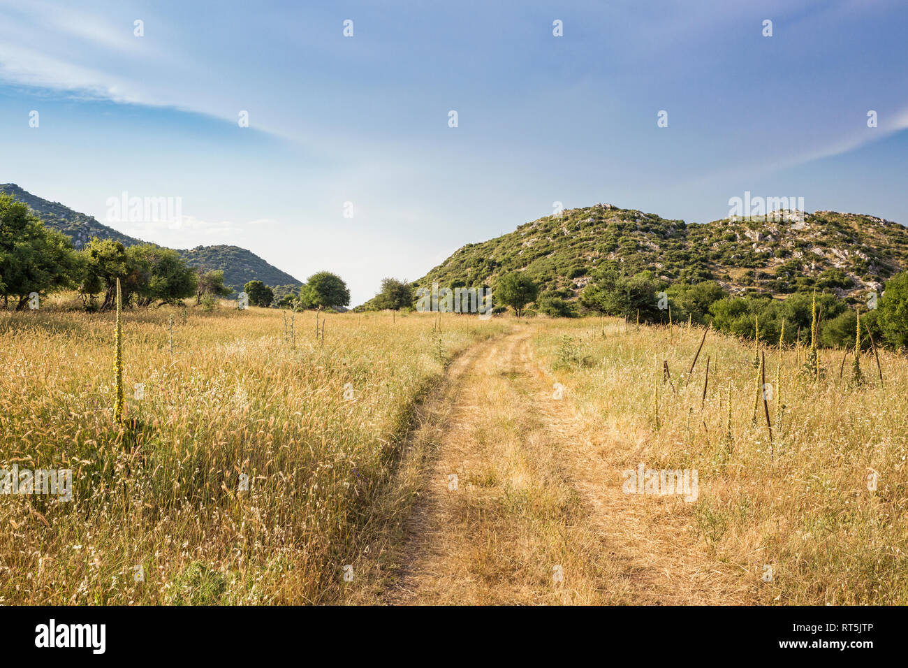 Greece, Peloponnese, Arcadia, Lykaion, plateau below mountain Profitis Ilias Stock Photo