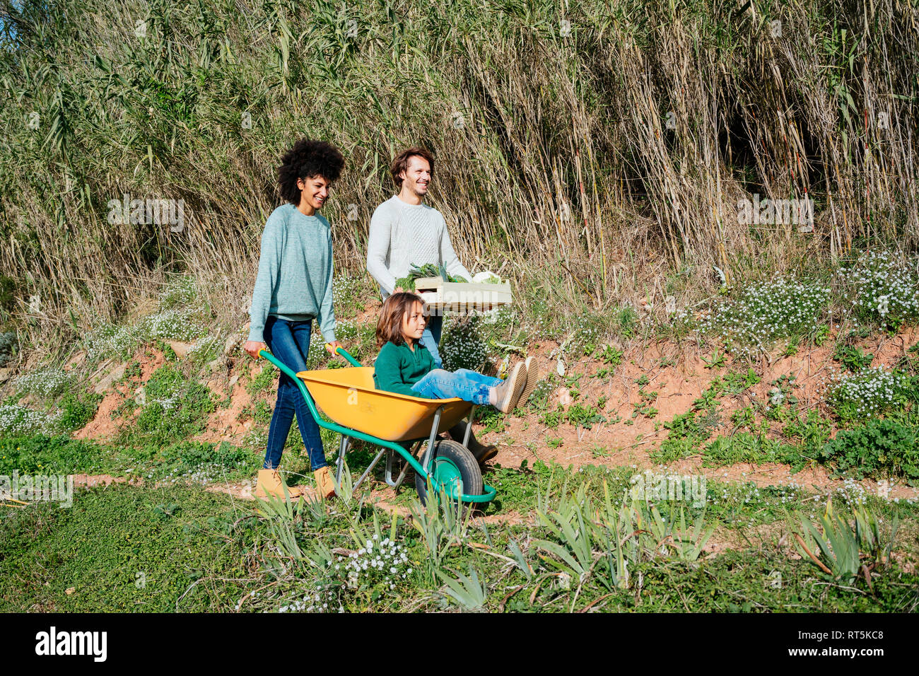 Family walking on a dirt track, pushing wheelbarrow, carrying crate with vegetables Stock Photo