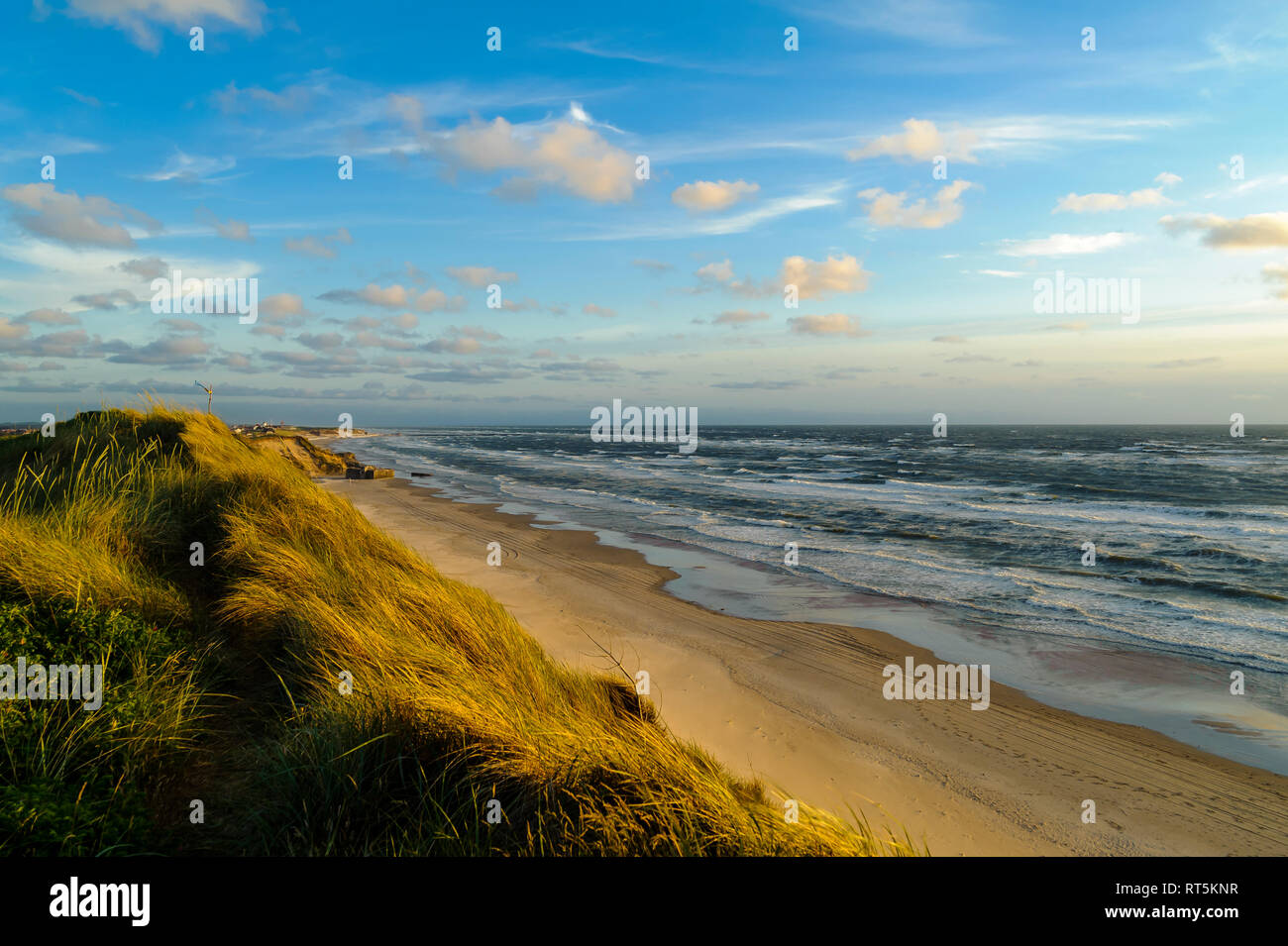 Denmark, Jutland, Lokken, dune landscape and North Sea Stock Photo - Alamy