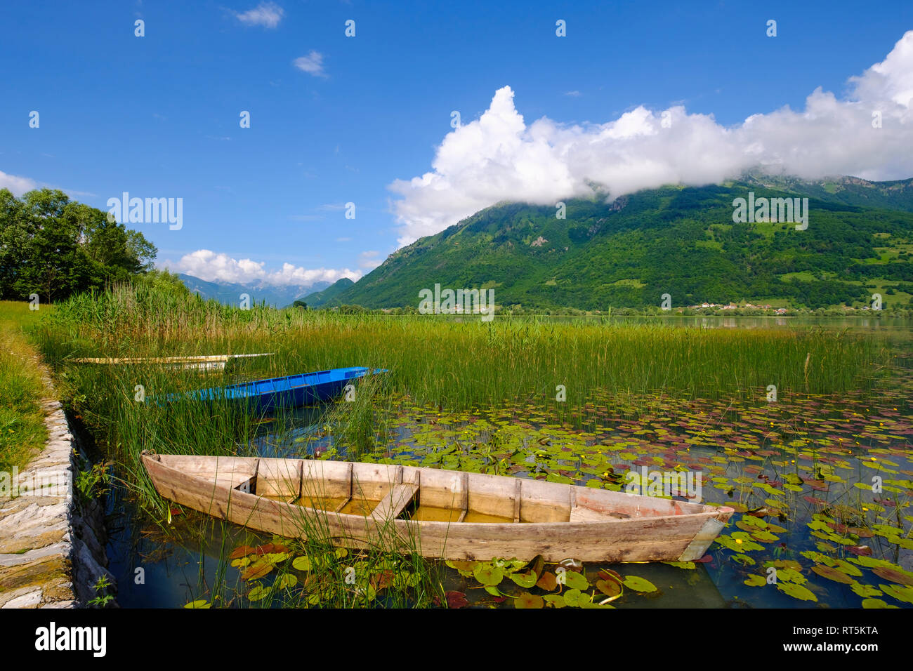 Montenegro, Plav, Plavsko jezero, boat at lakeside Stock Photo
