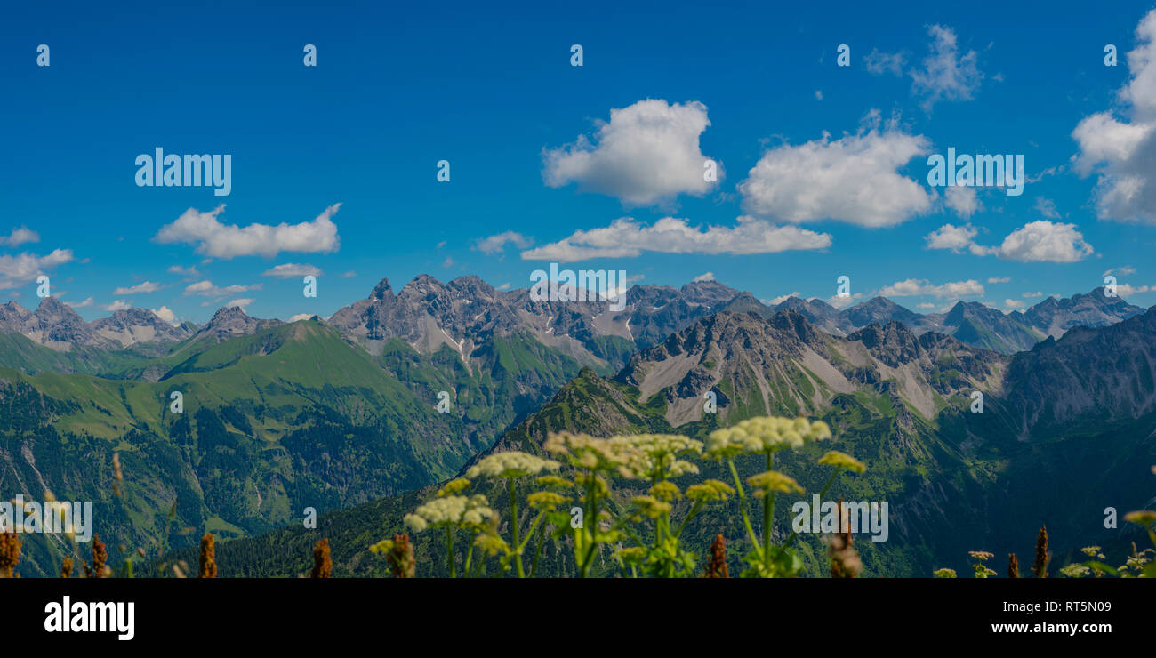 Panorama vom Fellhorn, 2038m, zum Allgaeuer Hauptkamm, Allgaeu, Allgaeuer Alpen, Bayern, Deutschland, Europa Stock Photo