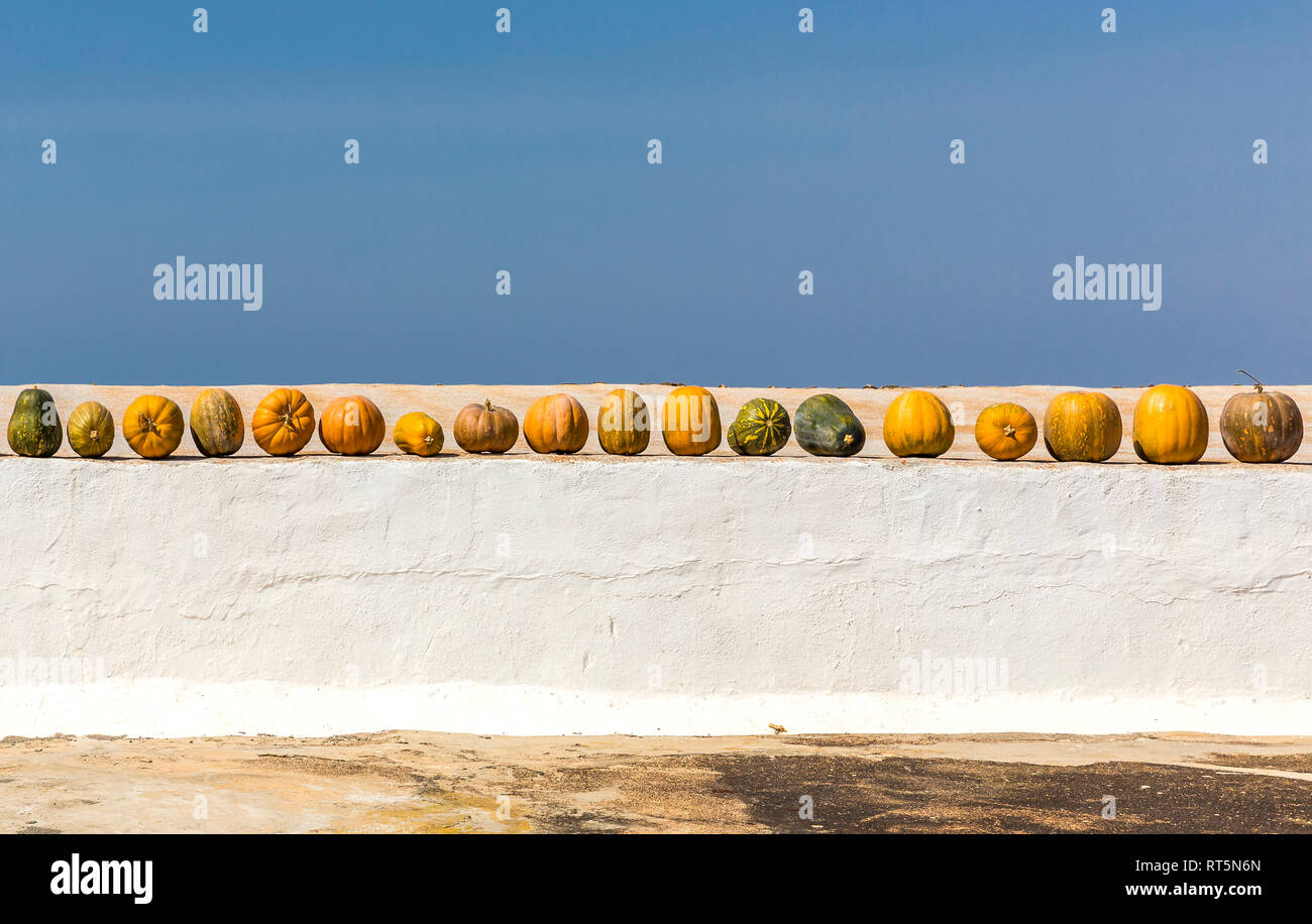 Spain, row of pumpkins Stock Photo