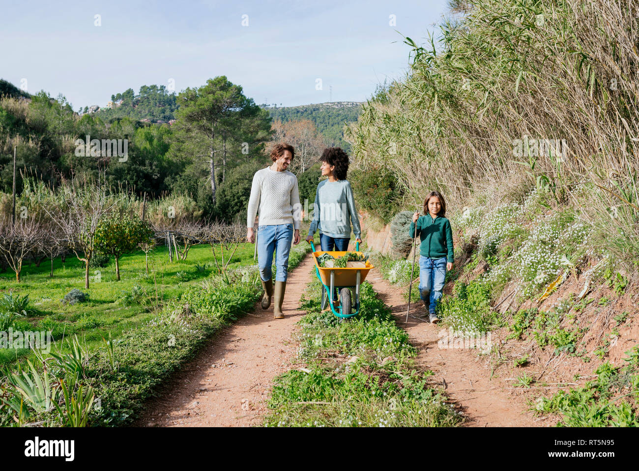 Family walking on a dirt track, pushing wheelbarrow, full of fresh vegetables Stock Photo
