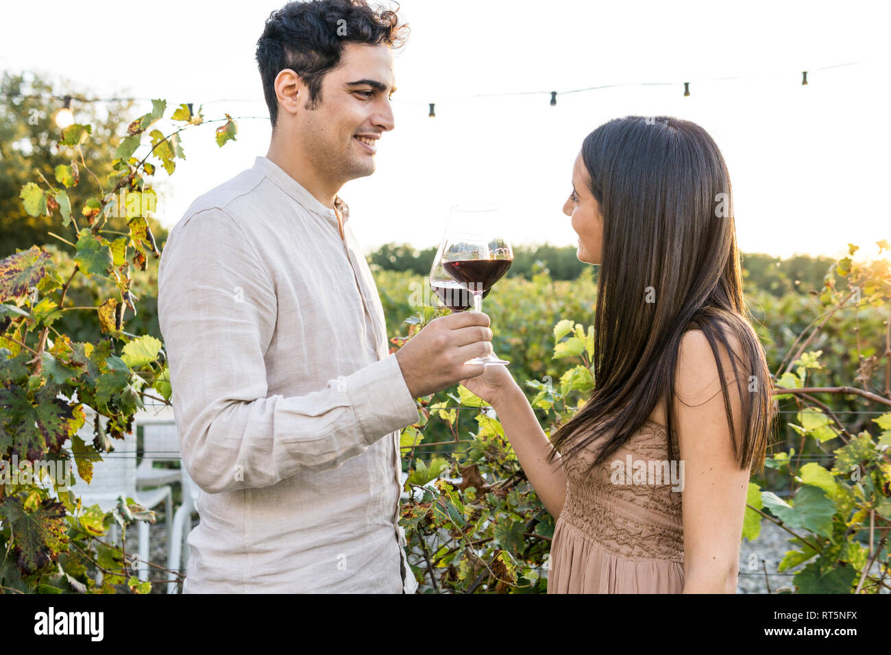 Italy, Tuscany, Siena, smiling young couple clinking red wine glasses in a vineyard Stock Photo