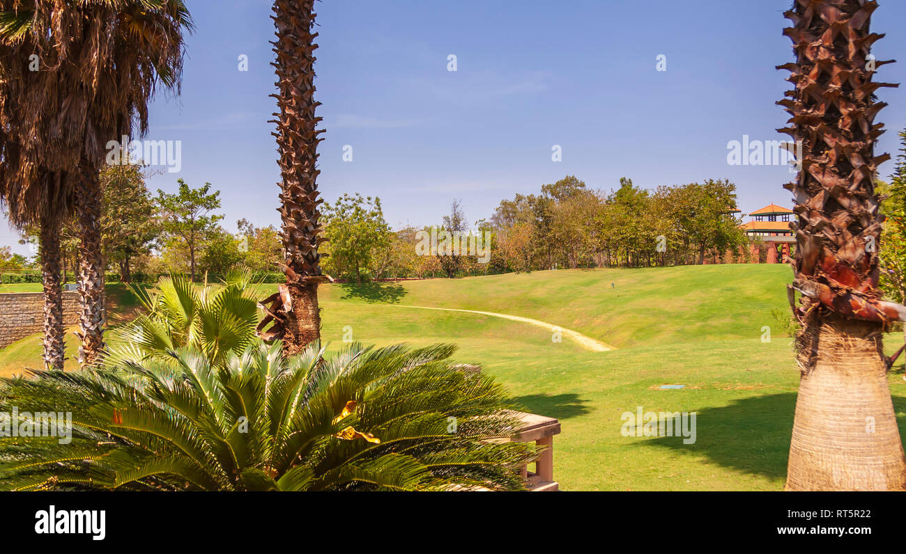 A curved path and a green lawn framed using the trunks of two date-palm tree. Hyderabad, Telangana, India. Stock Photo