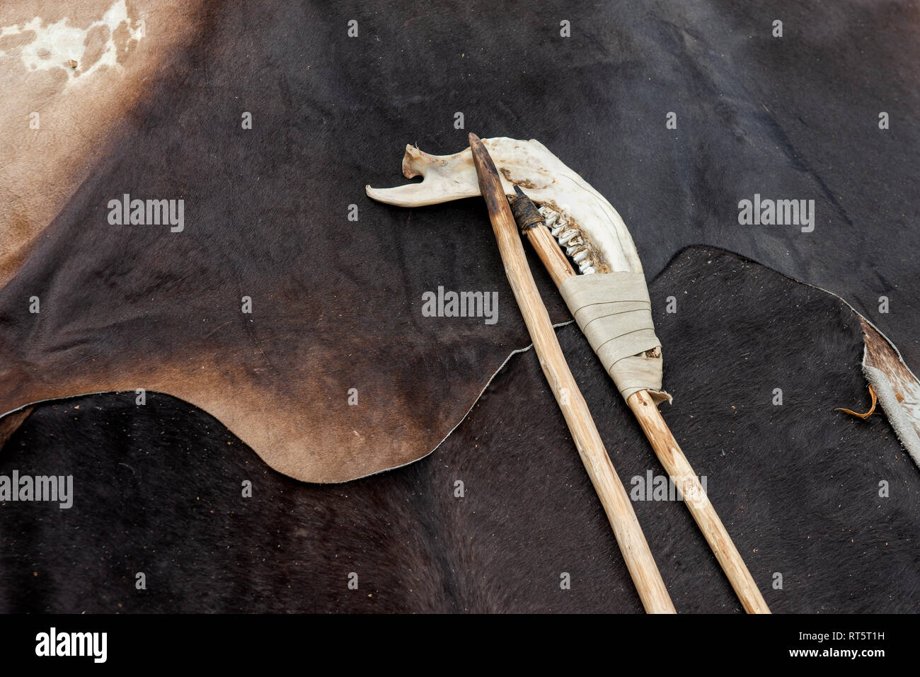 Wooden spear and an ax made of an animal jaw bone against the background of a raw-hide tent of a primitive man. History of civilization Stock Photo