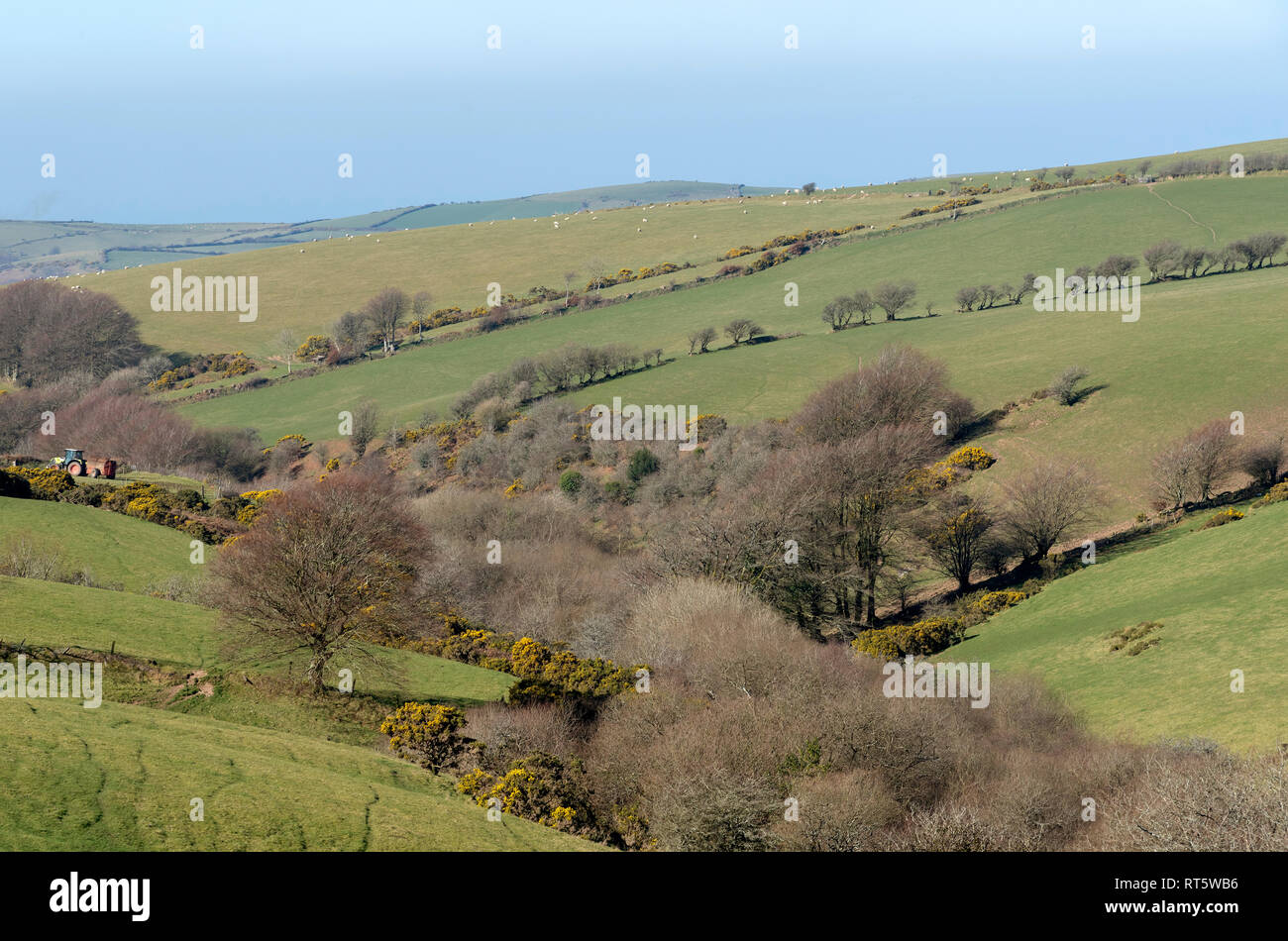 Parracombe, Devon, England, UK, February 2019. A view of the Heddon Valley on Exmoor Stock Photo