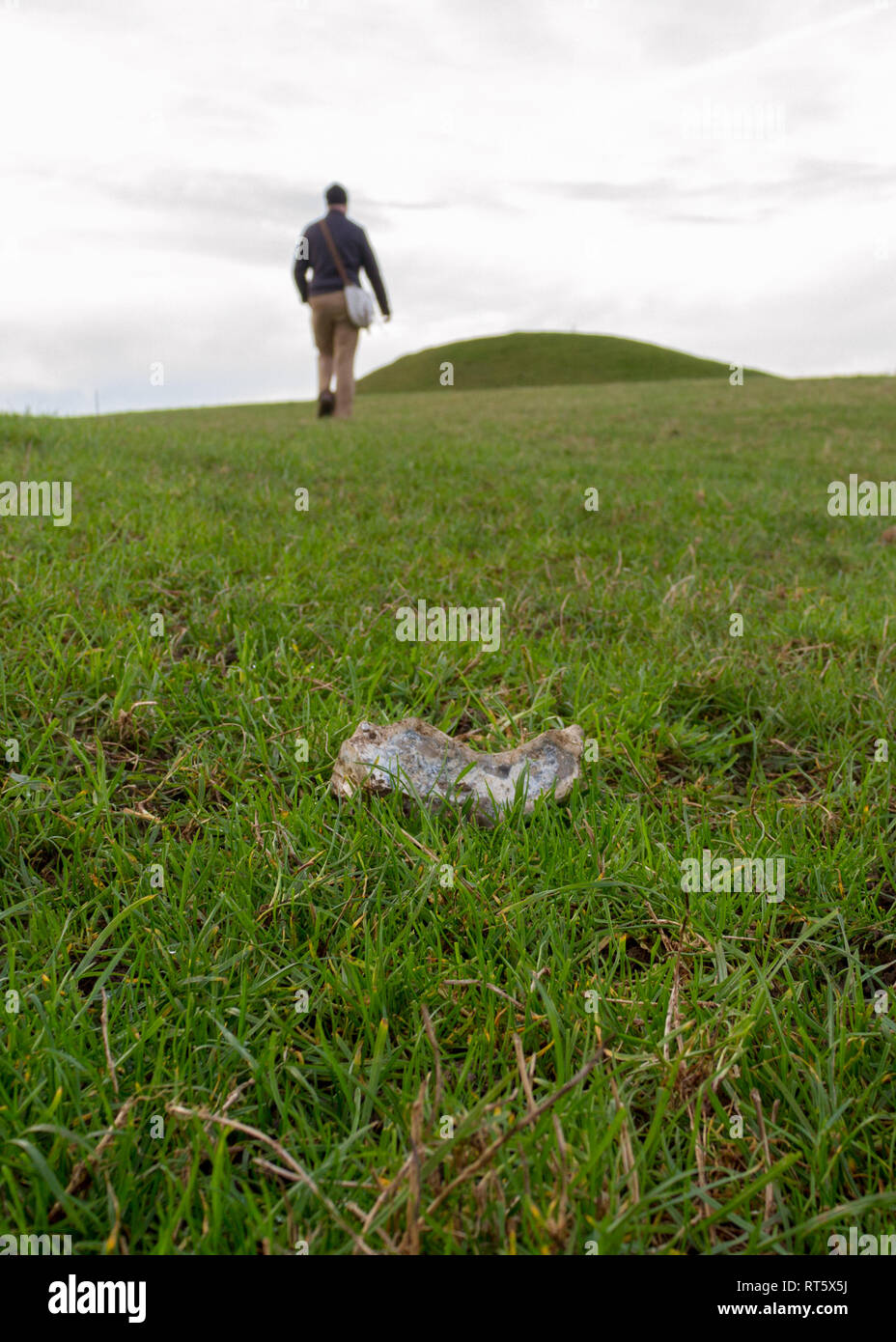 Close-up of a flint lying in the grass with, out of focus in the background, a solitary male figure working towards a bronze age burial mound Stock Photo