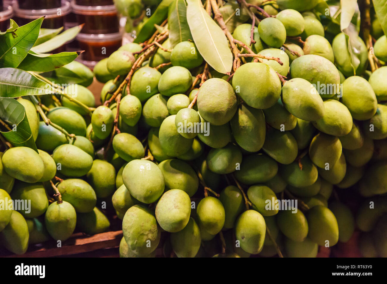 fresh wild natural tropical Asian green raw unripe mangoes juicy stone