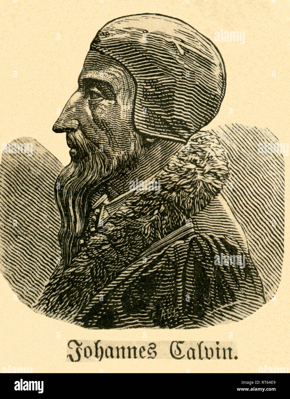 John Calvin, French theologian, pastor and reformer, illustration from: 'Die Welt in Bildern ' (images of the world), published by Dr. Chr. G. Hottinger in self-publishing, Berlin, Strasbourg, 1881., Additional-Rights-Clearance-Info-Not-Available Stock Photo
