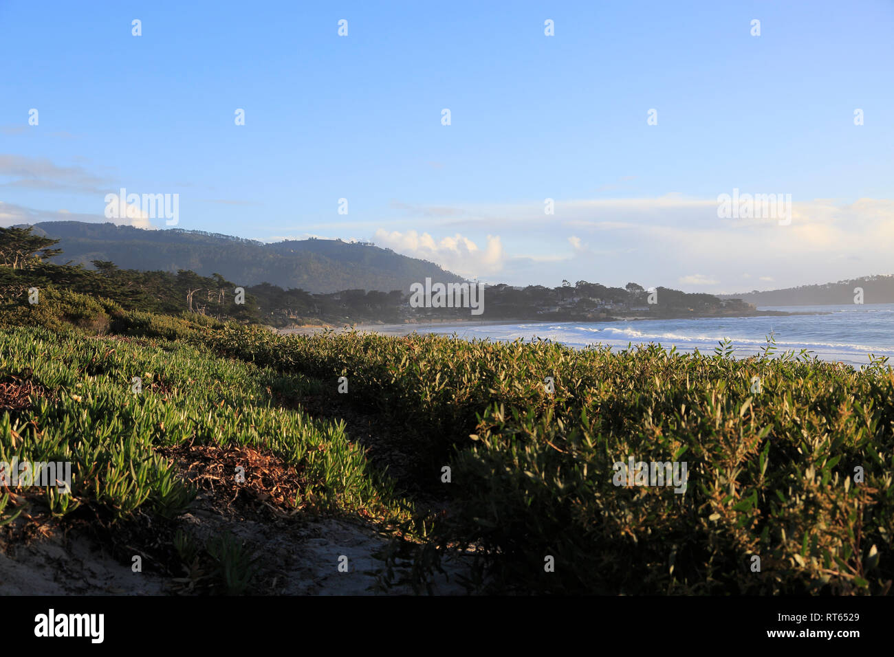 Beach, Carmel by the Sea, Monterey Peninsula, Pacific Ocean, California