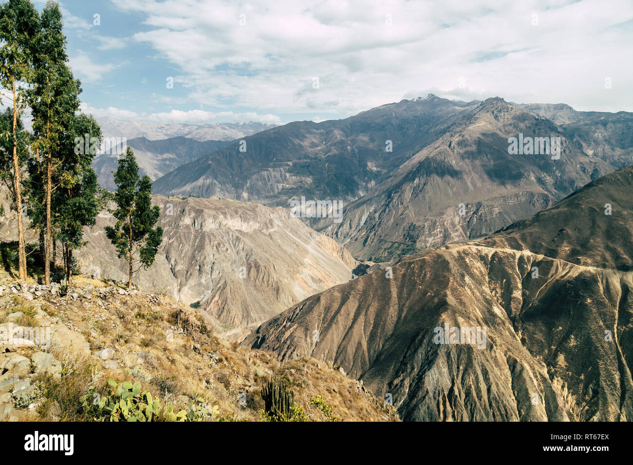 Colca Canyon, one of the world's deepest canyons, located in southern Peru. Stock Photo
