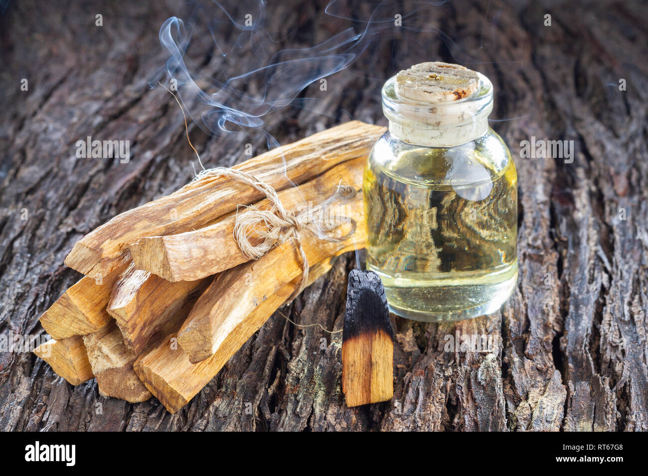 Bursera graveolens, essence and resin. in Spanish ('palo santo') is a wild tree in Latin America. used as incense. Stock Photo