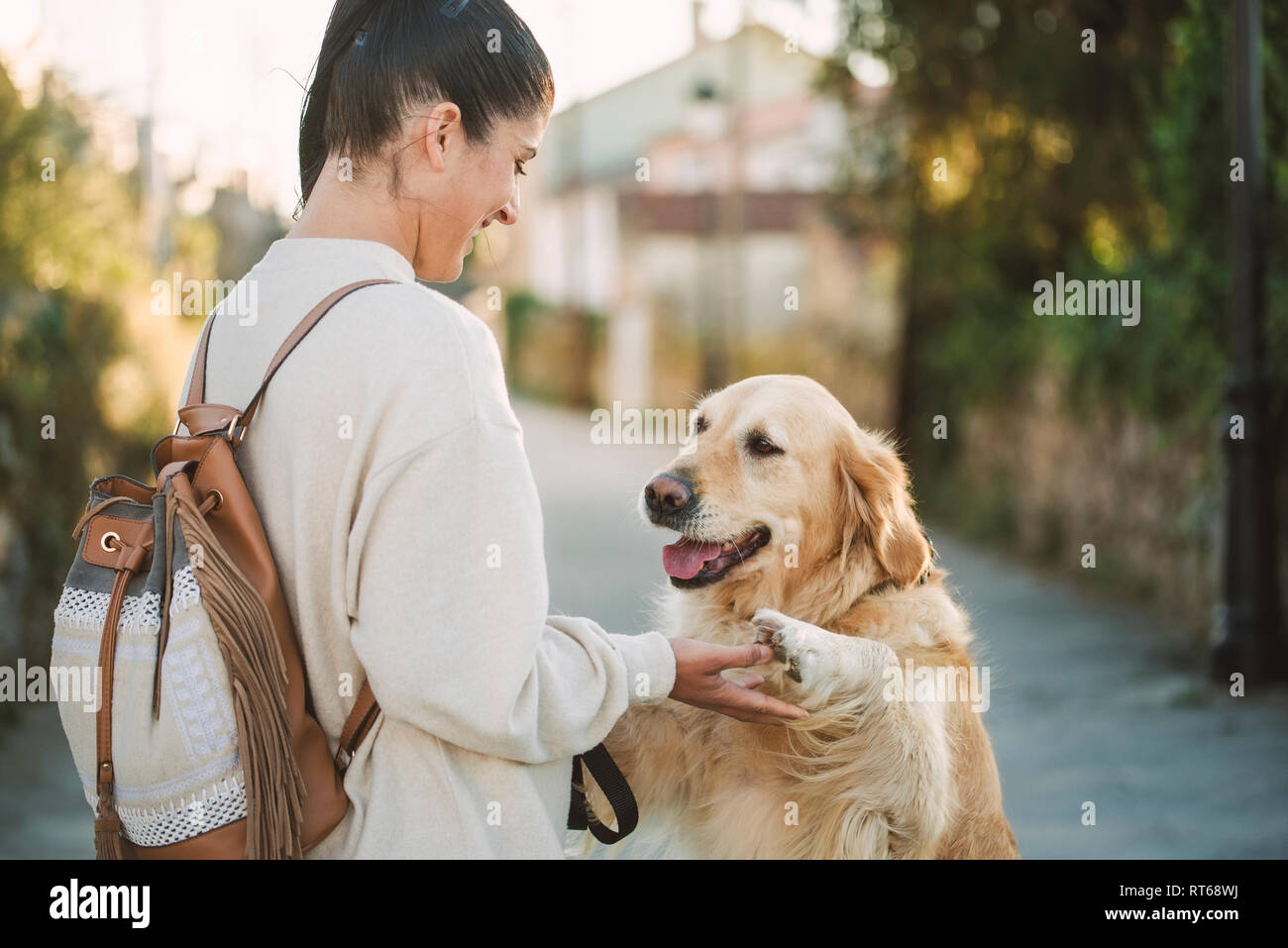 Happy young woman playing with her Golden retriever dog outdoors Stock ...