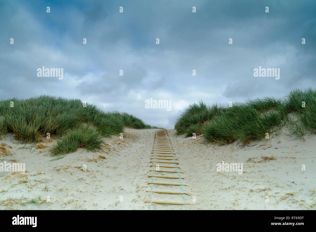 Denmark, Jutland, Henne Strand, dune landscape Stock Photo