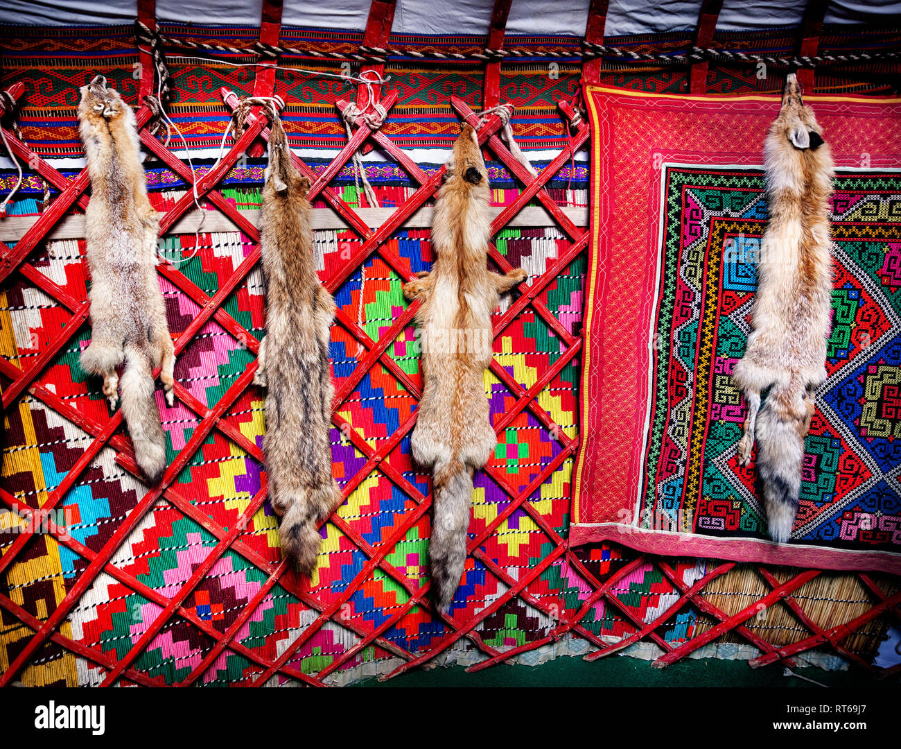 Fur ethnic hires stock photography and images Alamy