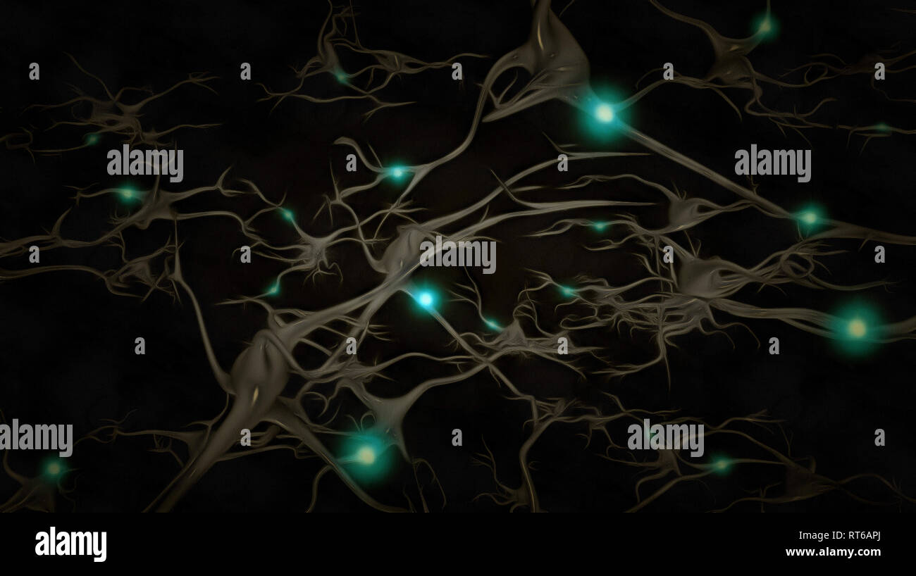 Brain neurons Stock Photo