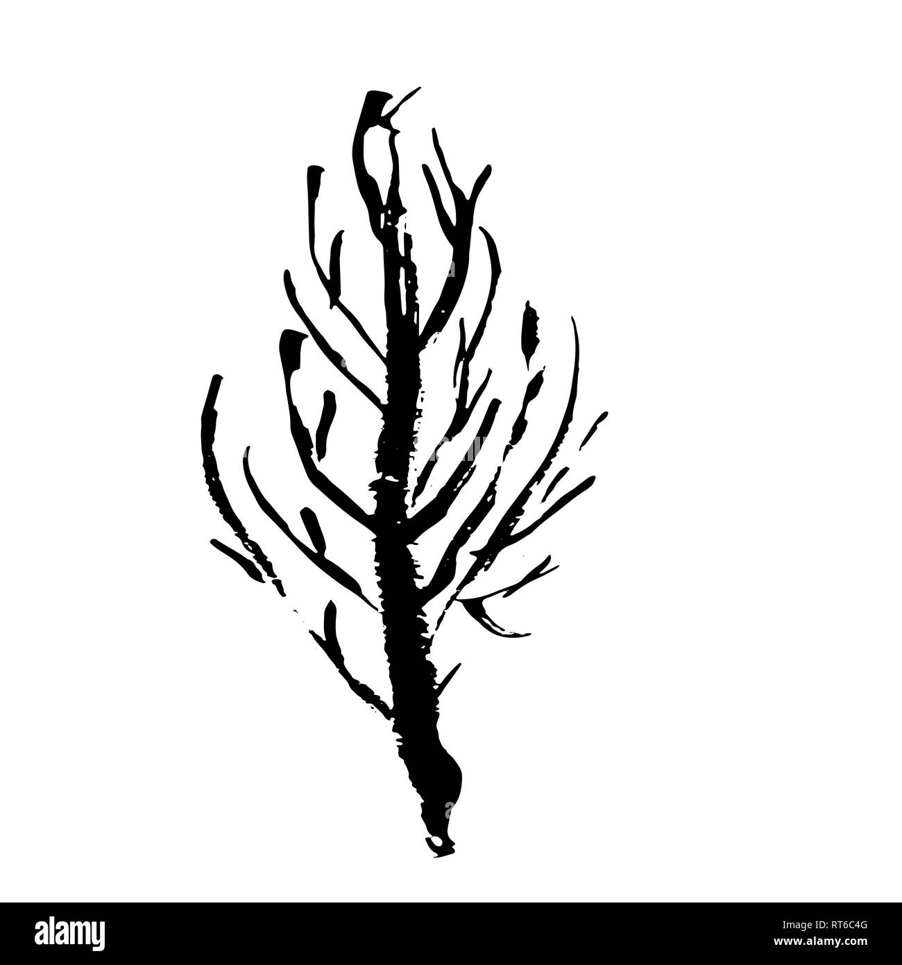 Tree silhouette. Hand drawn vector illustration Stock Vector Image ...