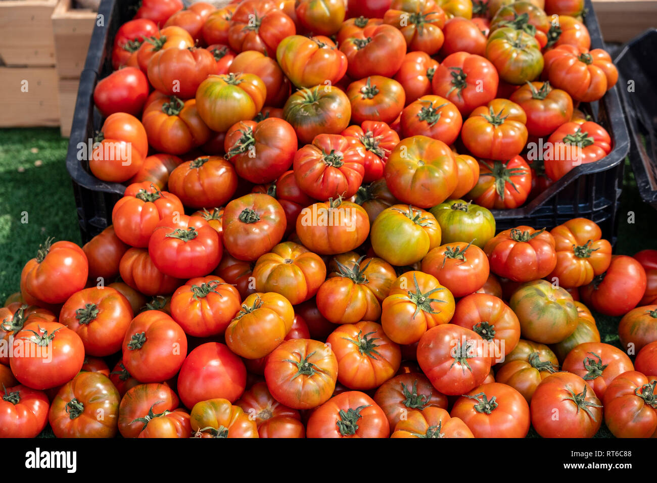 pile of green and red tomatoes in market in Spain Stock Photo - Alamy