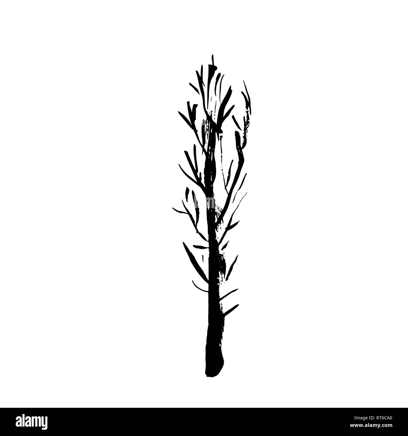Tree silhouette. Hand drawn vector illustration Stock Vector Image ...