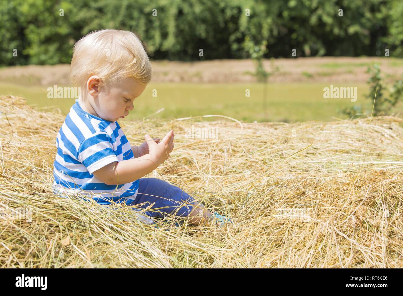 Children playing in nature in tha hay Stock Photo