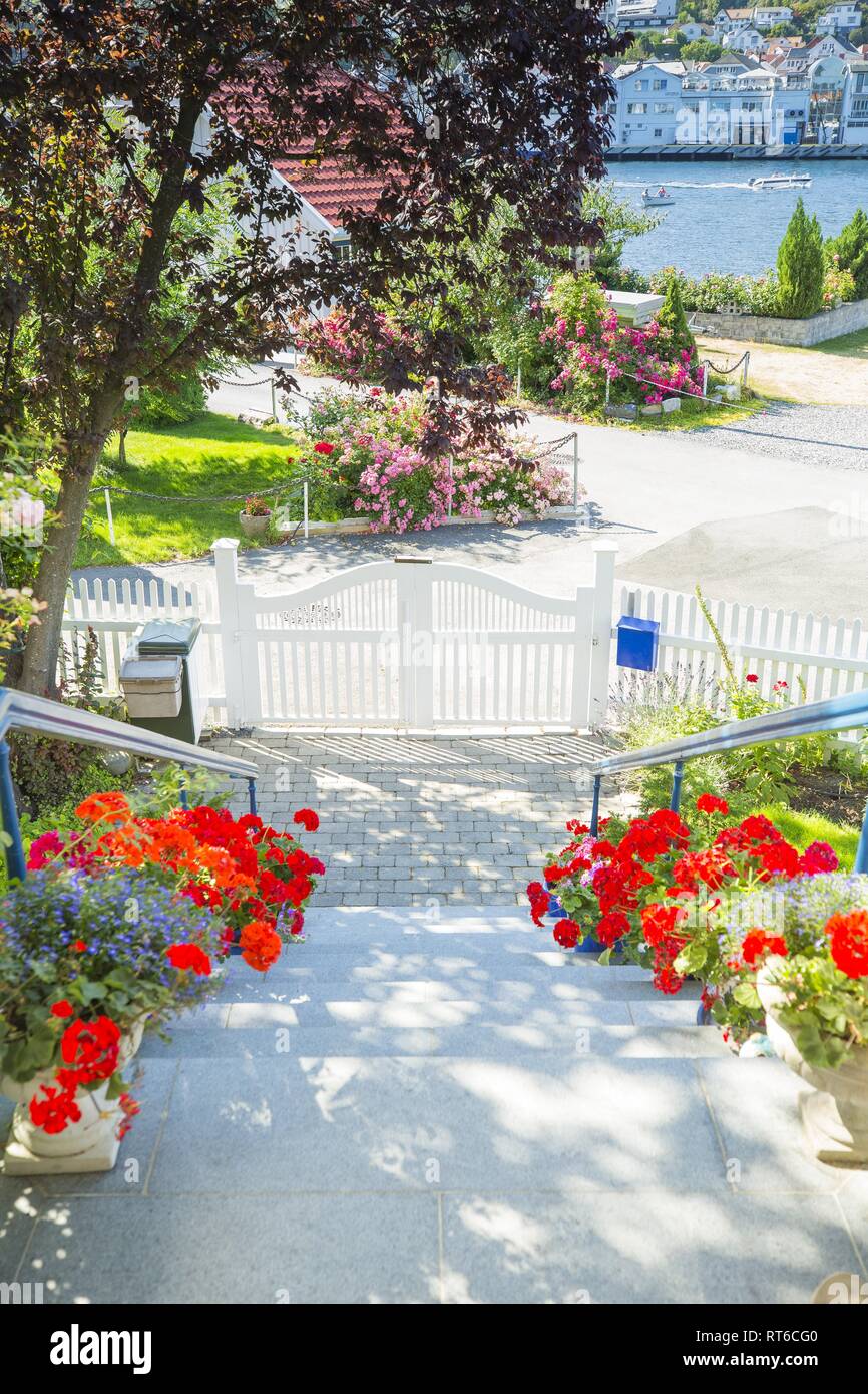 Garden Gate in the summer Stock Photo