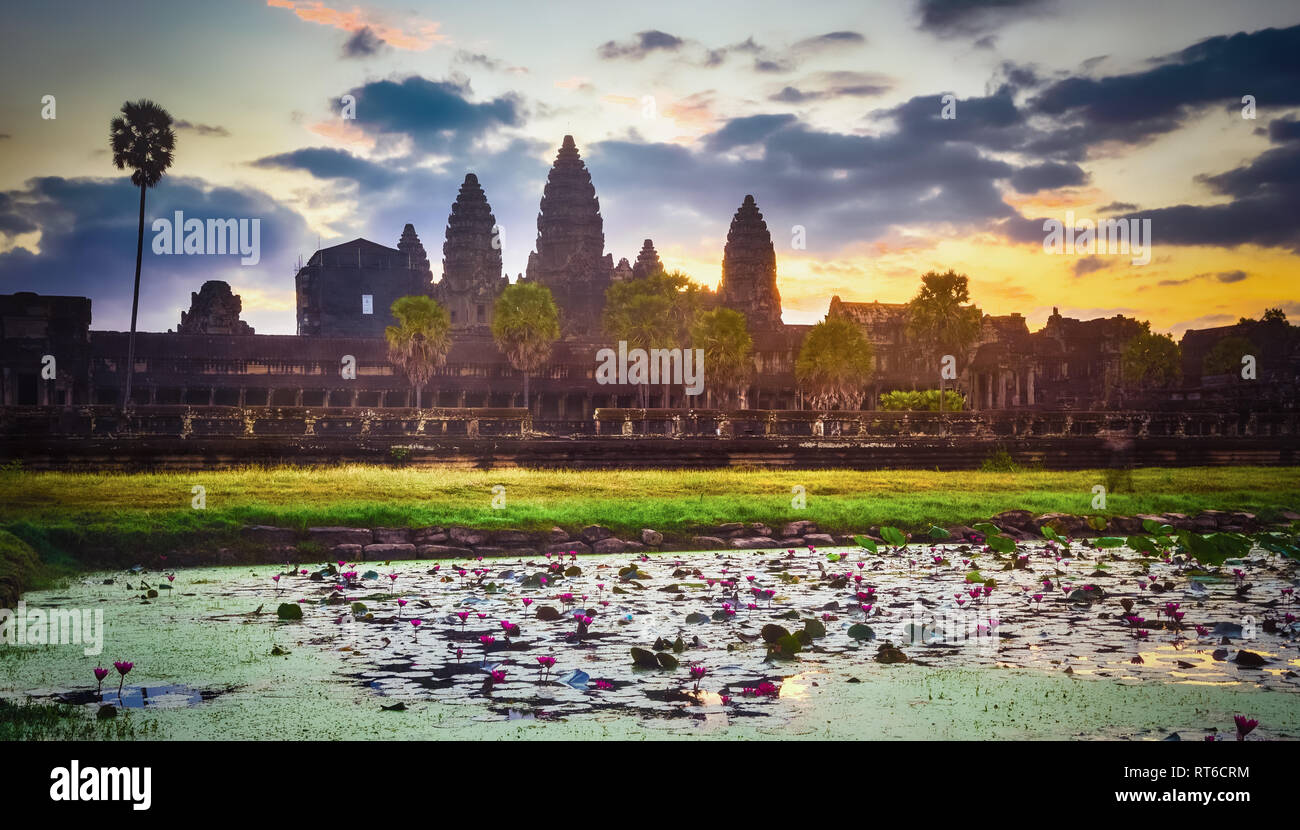 Angkor Wat temple reflecting in water of  Lotus pond at sunrise. Siem Reap. Cambodia. Stock Photo