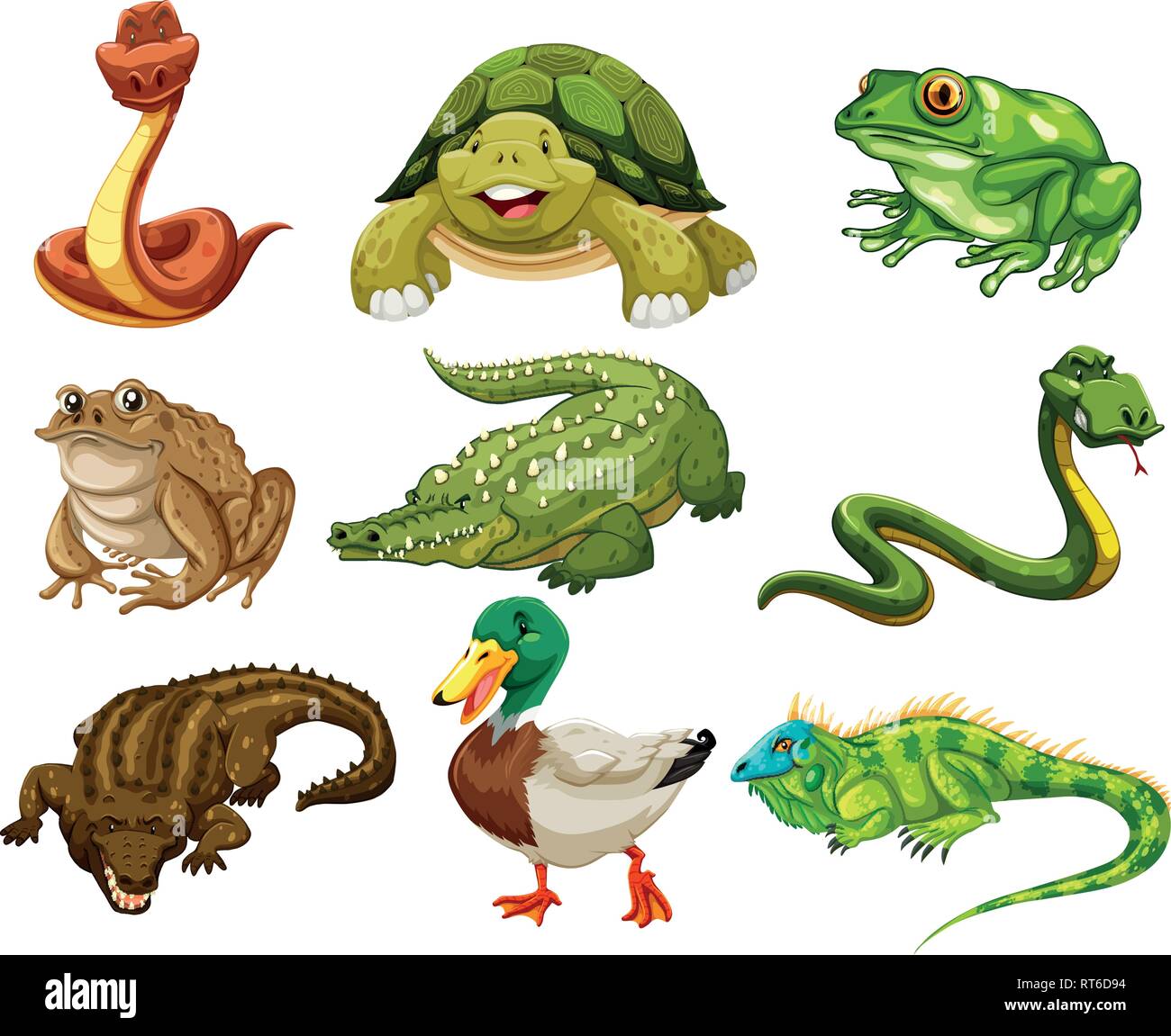 Set of isolated animals illustration Stock Vector Image & Art - Alamy