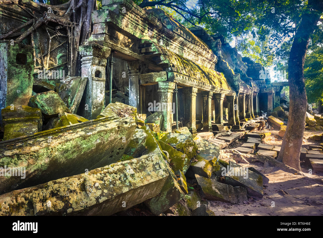 Ta Prohm temple at Angkor. Siem Reap. Cambodia Stock Photo