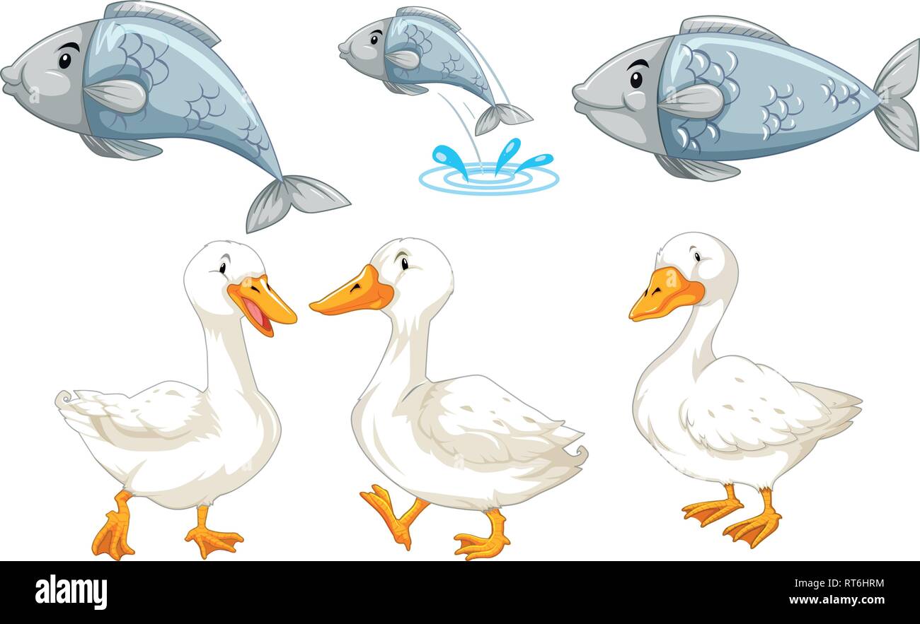 Fish duck Stock Vector Images - Alamy Fish duck Stock Vector Images - Alamy