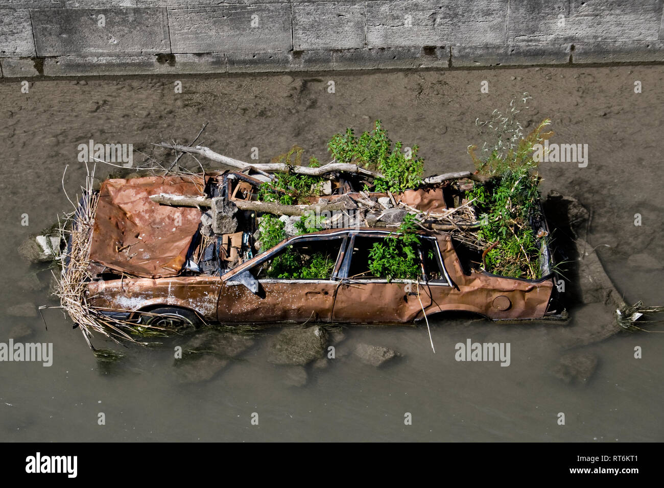 Plants growing out of an abandoned car in a canal Stock Photo - Alamy