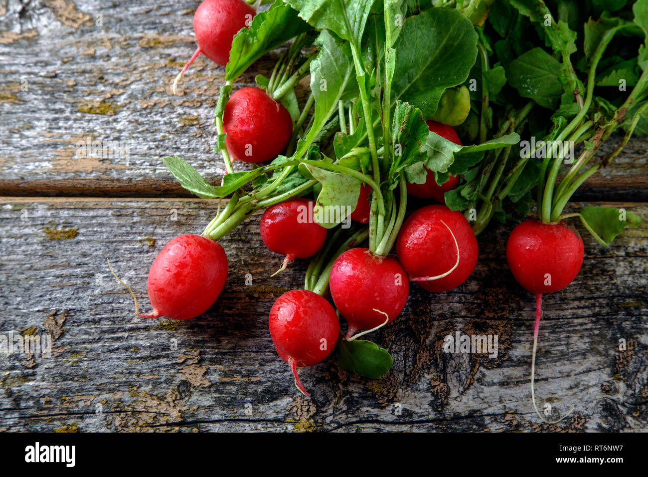 Ripe radish on wooden table Stock Photo