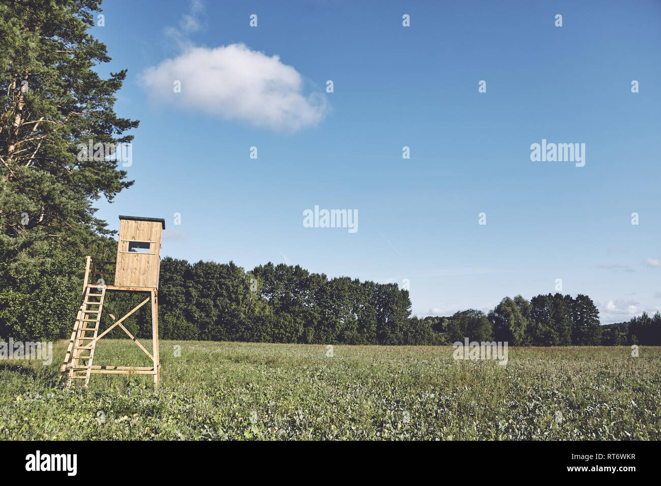 Wooden deer hunting platform on the edge of a forest, color toning ...