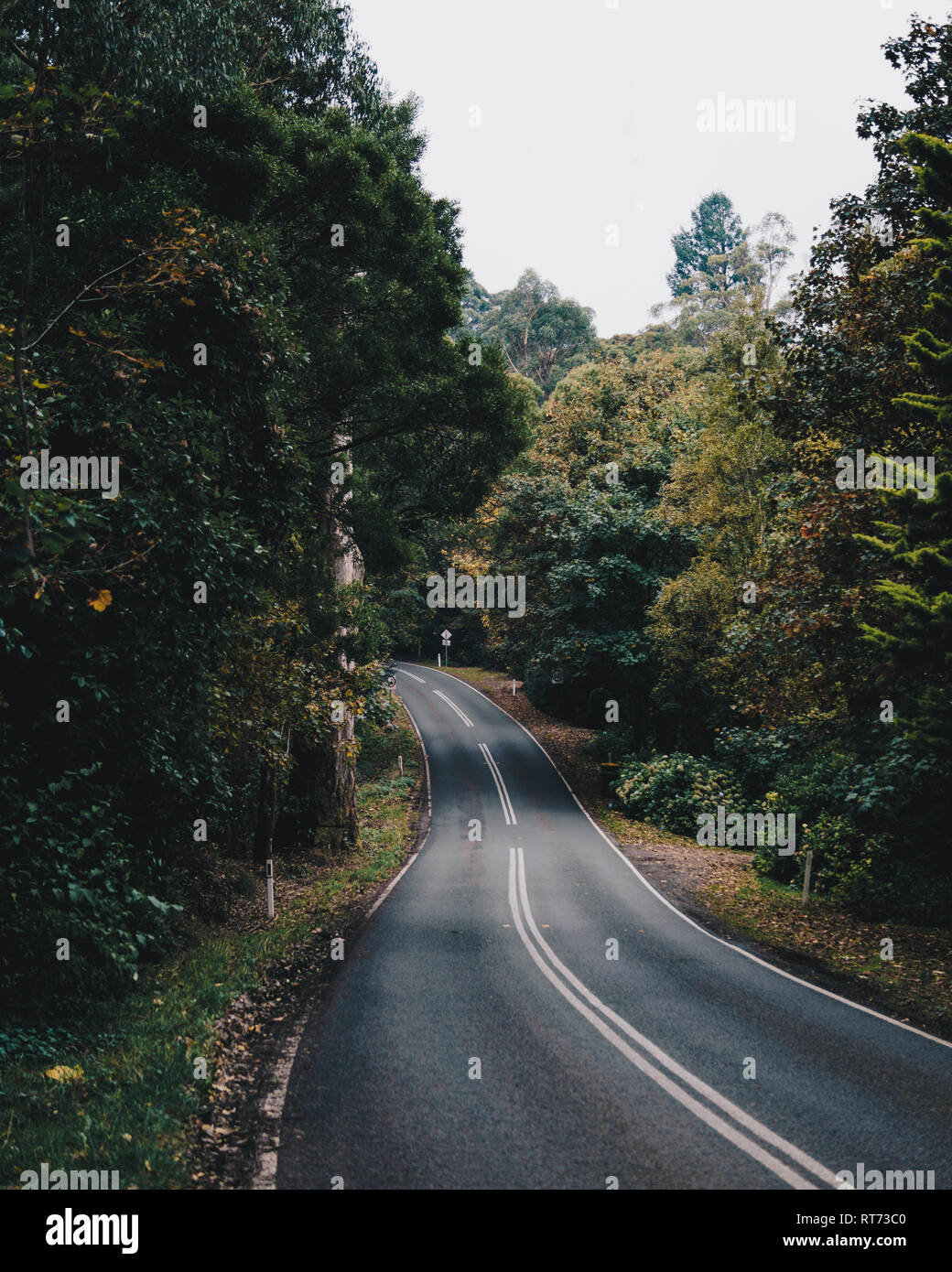 Twisty road hires stock photography and images Alamy