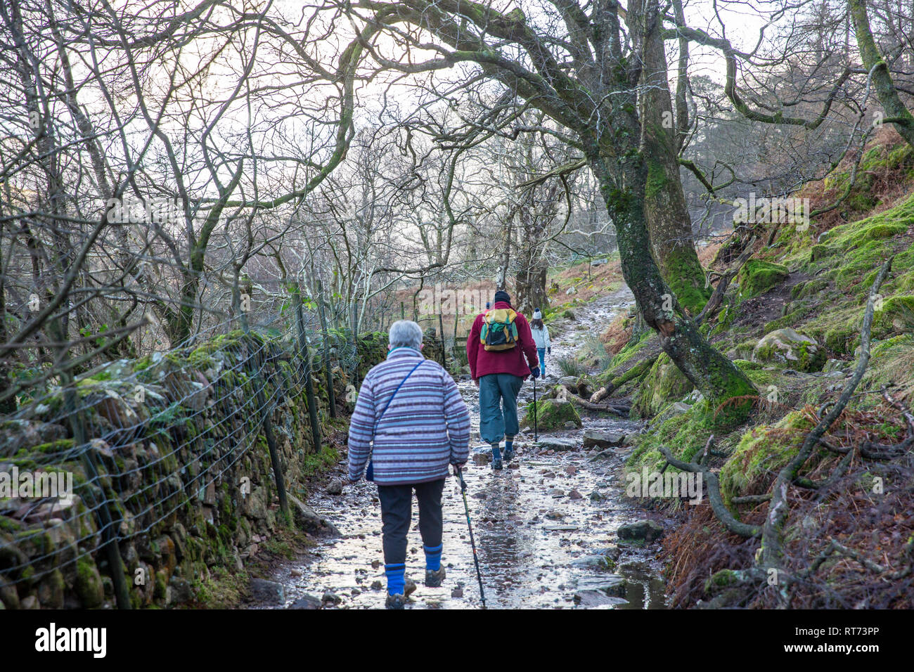 Lake Buttermere and walkers hikers on a winters day, Lake District