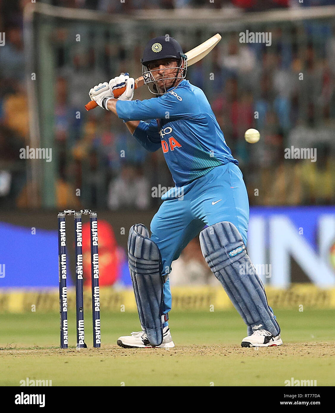 Msd Cwc 2019 Cwc australia hi-res stock photography and images - Alamy